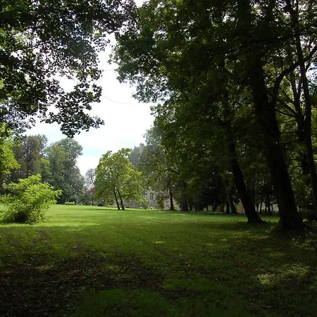 Chateau Du Riau Bed & Breakfast Villeneuve-sur-Allier